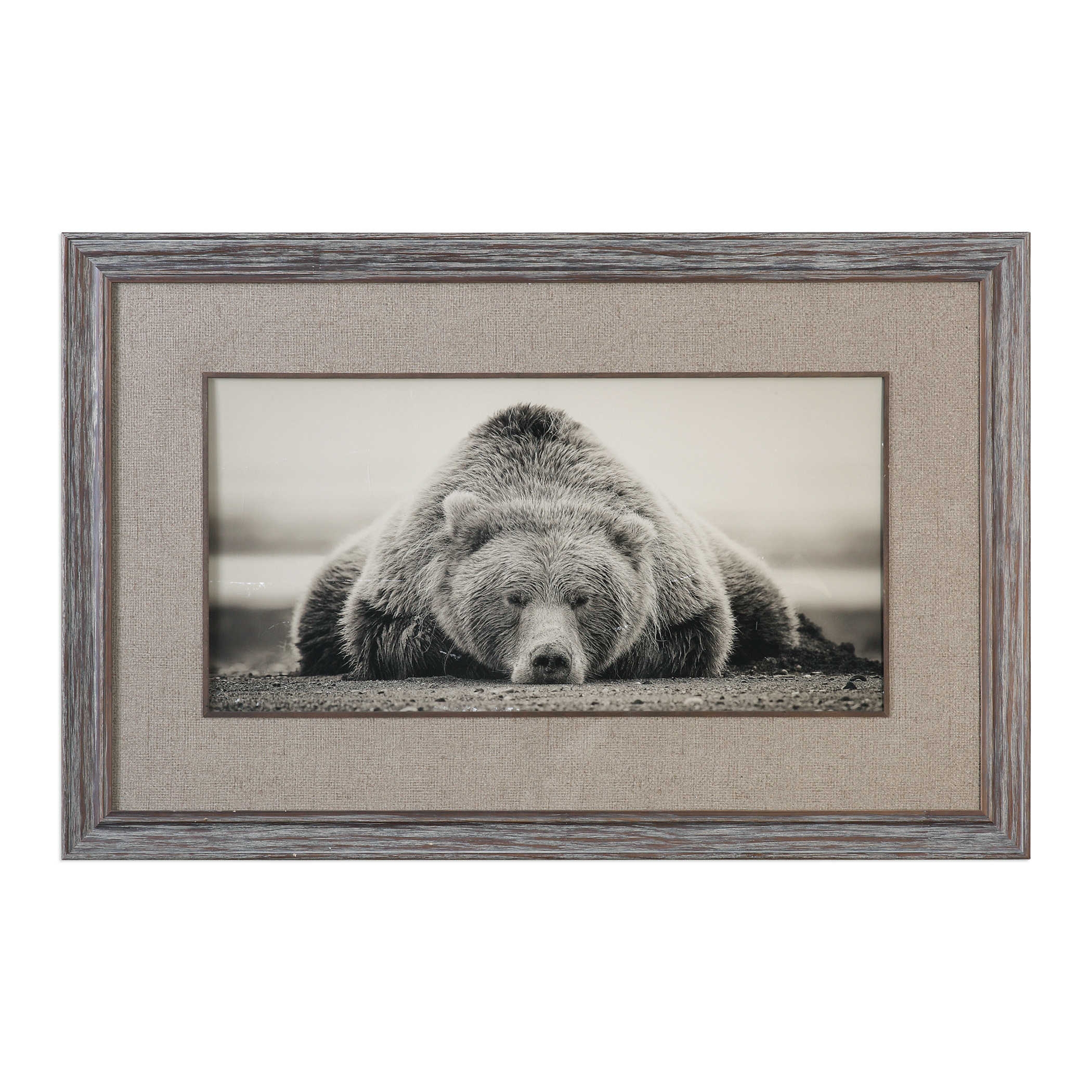 Uttermost Deep Sleep Bear Print Décor/Home Accent Uttermost PINE WOOD,GLASS,KT BOARD  