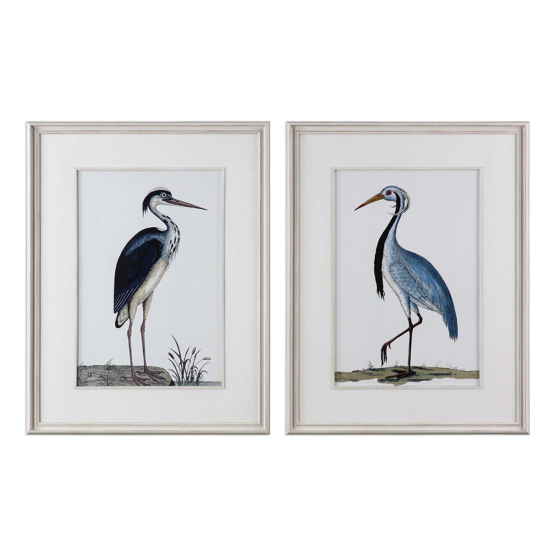 Uttermost Shore Birds Framed Prints S/2