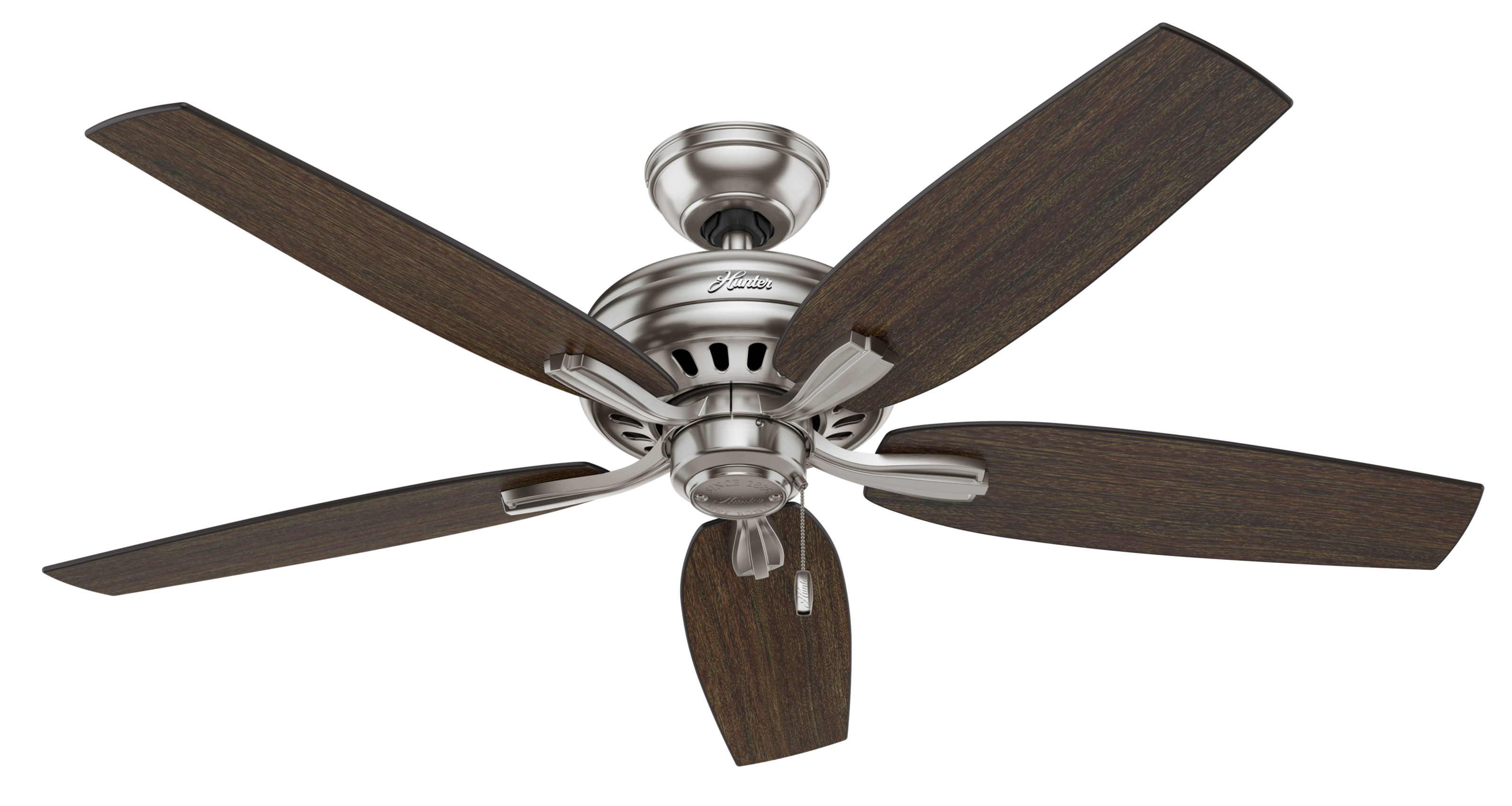 Hunter 52 inch Newsome Ceiling Fan