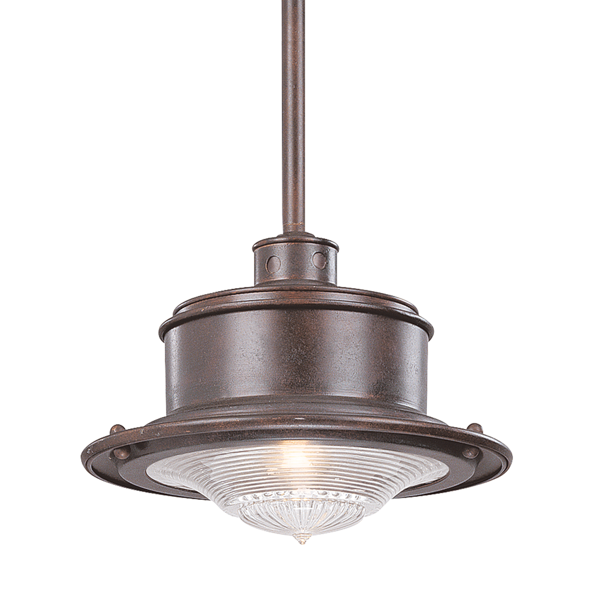 Troy Lighting SOUTH STREET 1LT HANGING DOWNLIGHT LARGE OLD RUST F9397 Outdoor Hanging Lights Troy Lighting OLD RUST  