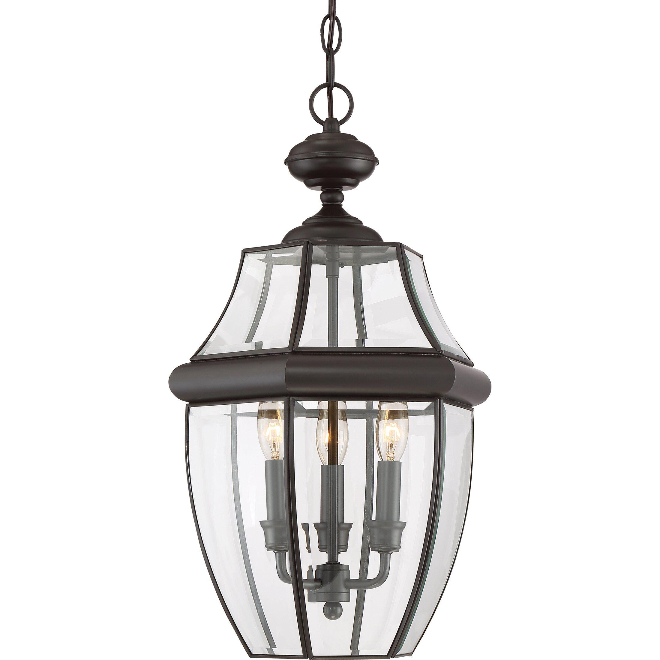 Quoizel Newbury Outdoor Lantern, Hanging Small