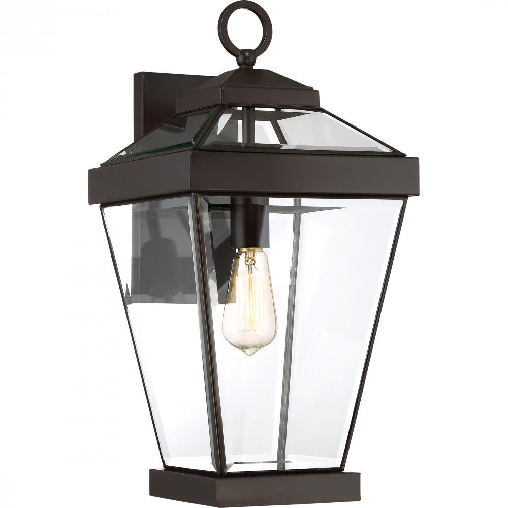 Quoizel Ravine Outdoor Wall Lantern RAV8410 Outdoor Wall Lights Quoizel Western Bronze  