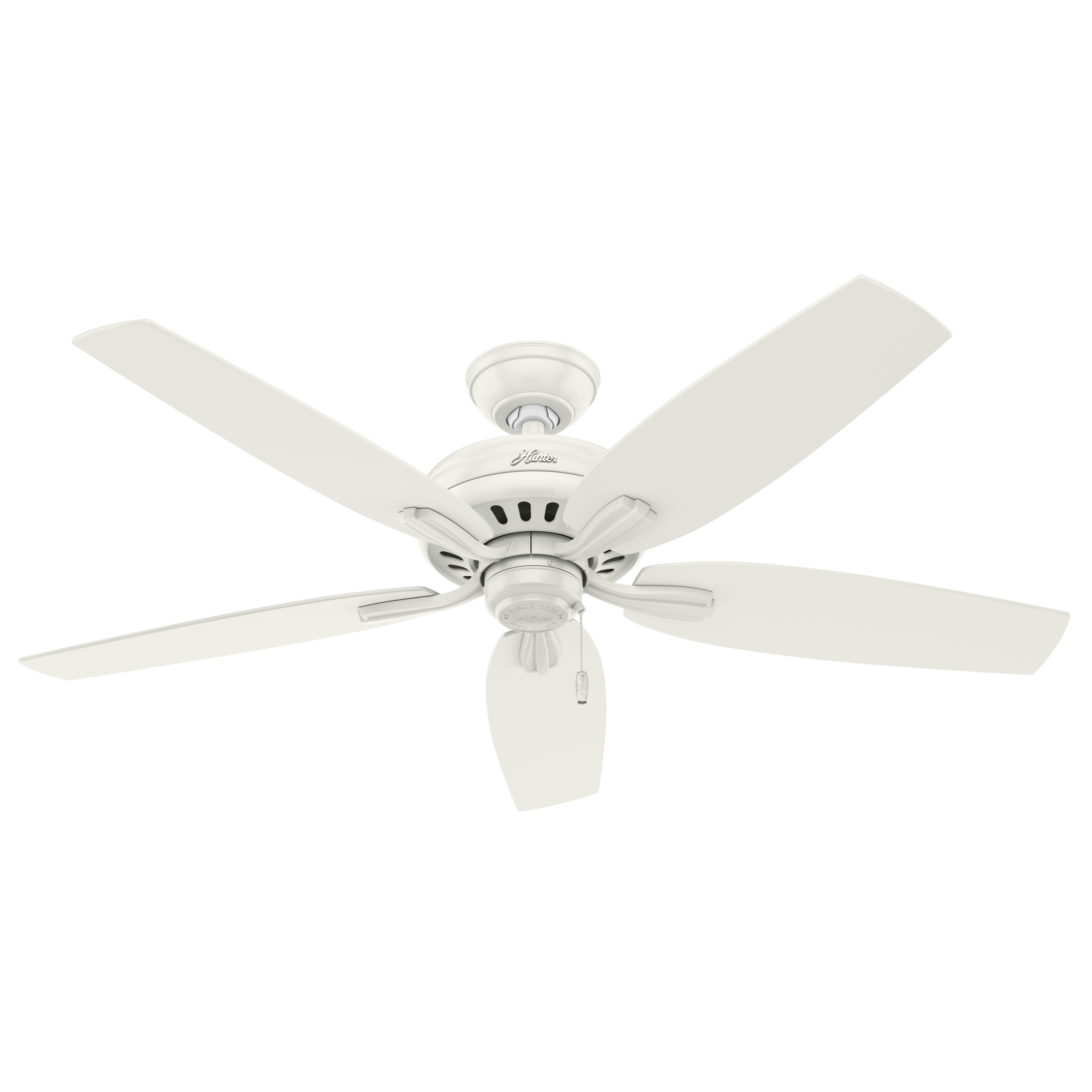 Hunter 52 inch Newsome Damp Rated Ceiling Fan and Pull Chain