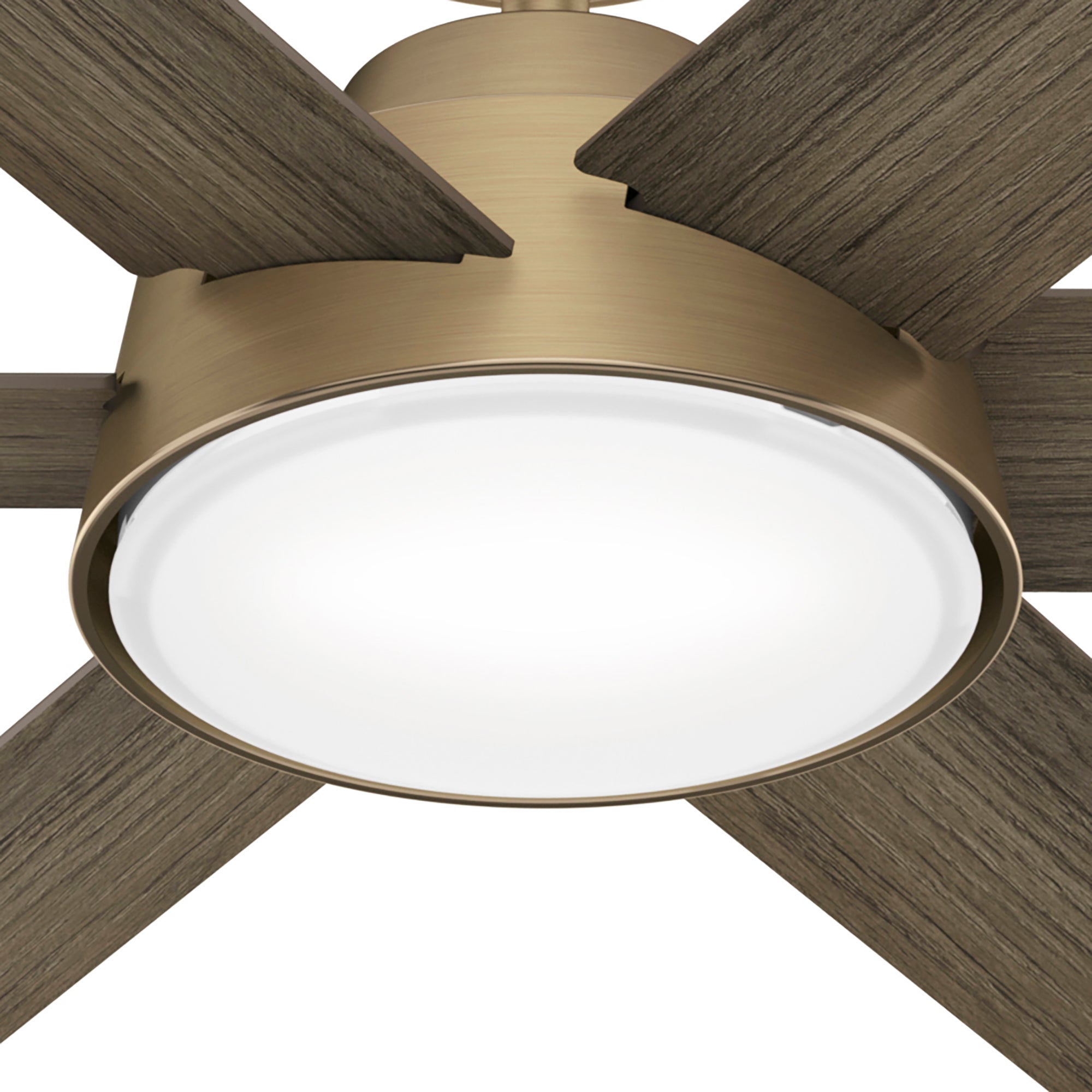 Hunter 52 inch Donatella Ceiling Fan with LED Light Kit and Handheld Remote Indoor Ceiling Fans Hunter Luxe Gold Warm Grey Oak / Painted Cased White