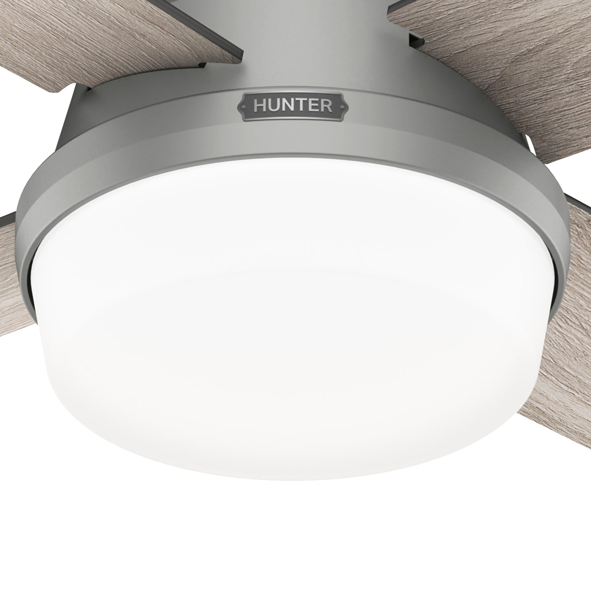 Hunter 44 inch Dempsey Low Profile Ceiling Fan with LED Light Kit and Handheld Remote